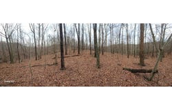 3504 East Fork Road, Means, KY 40346