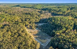 Snake Branch rd, Vernon, AL 35592