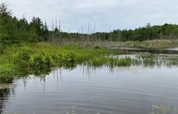 County Route 35, Potsdam, NY 13676