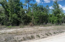 NE 63RD Place, WILLISTON, FL 32696