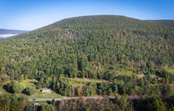 1197 Rt 6, Gaines, PA 16921