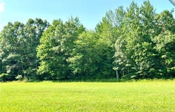 20 Acres W Poertner Road, Neillsville, WI 54456