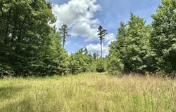 2 Highway 483, Morton, MS 39117
