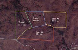 Tract 2 Hidden Valley, Annapolis, MO 63645