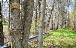 0 Hickory Street, Fruitport, MI 49415
