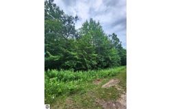 5165 Snowridge Trail, Elmira, MI 49730-8226