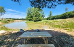 2599 N Pine Avenue, White Cloud, MI 49349