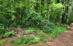 48 Lake Latimer, Kennesaw, GA 30144