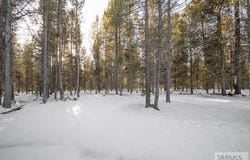 4353 Yeti Ln, Island Park, ID 83429