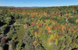 Mccann Hollow Road, Olean, NY 14760