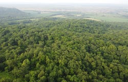 78+/- Acres TBD W Blanding, HANOVER, IL 61041