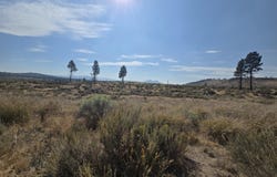 Ram Road, Chiloquin, OR 97624