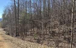 36b Of Roan Creek Road, Butler, TN 37640