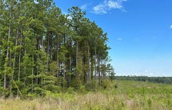 Ridge Road lot: 15, Seale, AL 36875