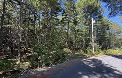 M-9,L-54C Back Shore Road, Bristol, ME 04539