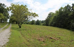 511 Phipps Lane, Wallingford, KY 41093