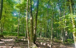 Neiltown Road, Pleasantville, PA 16341