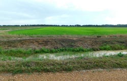 Gumpoint Road, Branch, LA 70516