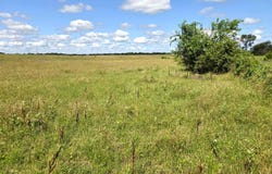E 134 Road, Holdenville, OK 74848