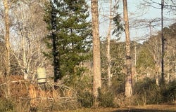 2165 Dorsey Road, Hemphill, TX 75948