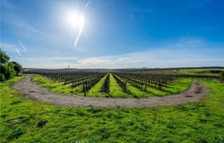 4910 Edna Road, San Luis Obispo, CA 93401