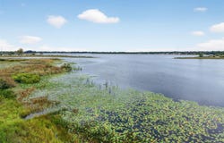 AMVETS WAY, MOUNT DORA, FL 32757