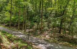 Paradise Lane, Ellijay, GA 30540
