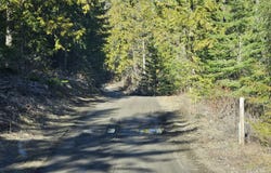 3378 H HILL LOOP RD, KETTLE FALLS, WA 99141