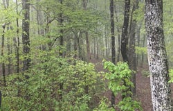 225 Prospectors Way, Jasper, TN 37347