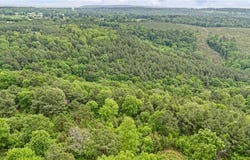 Buck Mountain  RD, Dover, AR 72837
