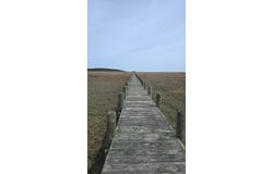 HIGH ST lot: 77, ACCOMAC, VA 23301