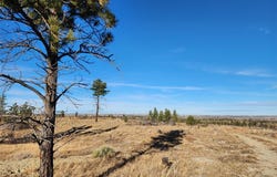 669 OLD STAGE ROAD, MT 59058