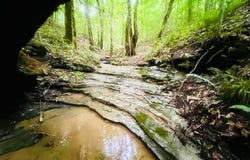81 Shearer Cemetery Ln, Columbia, KY 42728
