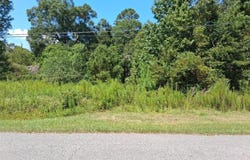 Highway 43, Mount Vernon, AL 36560