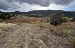 Cow Camp dr, Bancroft, ID 83217
