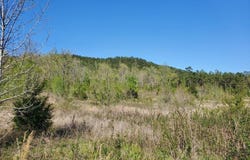 TBD Highway 375 East  (Lot4), Mena, AR 71953