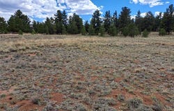 311 HAYSTACK ROAD, Hartsel, CO 80449