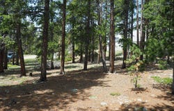 0 Caesar Rd, Black Hawk, CO 80422