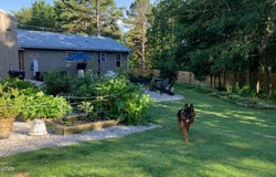 487 Sol Colston Road, Finger, TN 38334
