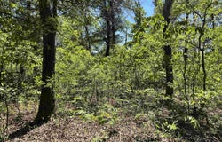 16-19-10 K Avenue, Felsenthal, AR 71747