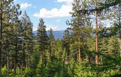 148 Tiny Acres Trail, Rexford, MT 59930