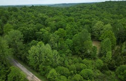 Lot 2 Duvall Rd, Caneyville, KY 42721