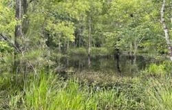 644 Case Road, Slocomb, AL 36375