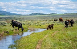 11388 CR 101, Craig, CO 81653