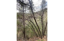 4 Devils Tower Ln, High Rolls Mountain Park, NM 88325-0000