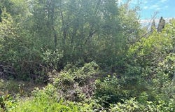519 Birch St, Mt Shasta, CA 96067