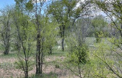 412 S Grand Avenue, Las Vegas, NM 87701