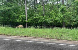 907 E I, Iron Mountain, MI 49801