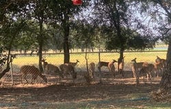 2411 Osage Road, Gatesville, TX 76528