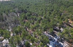 FM 250, Naples, TX 75568